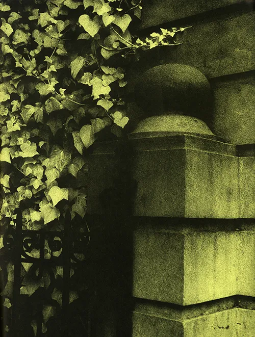 Ivy, 1990