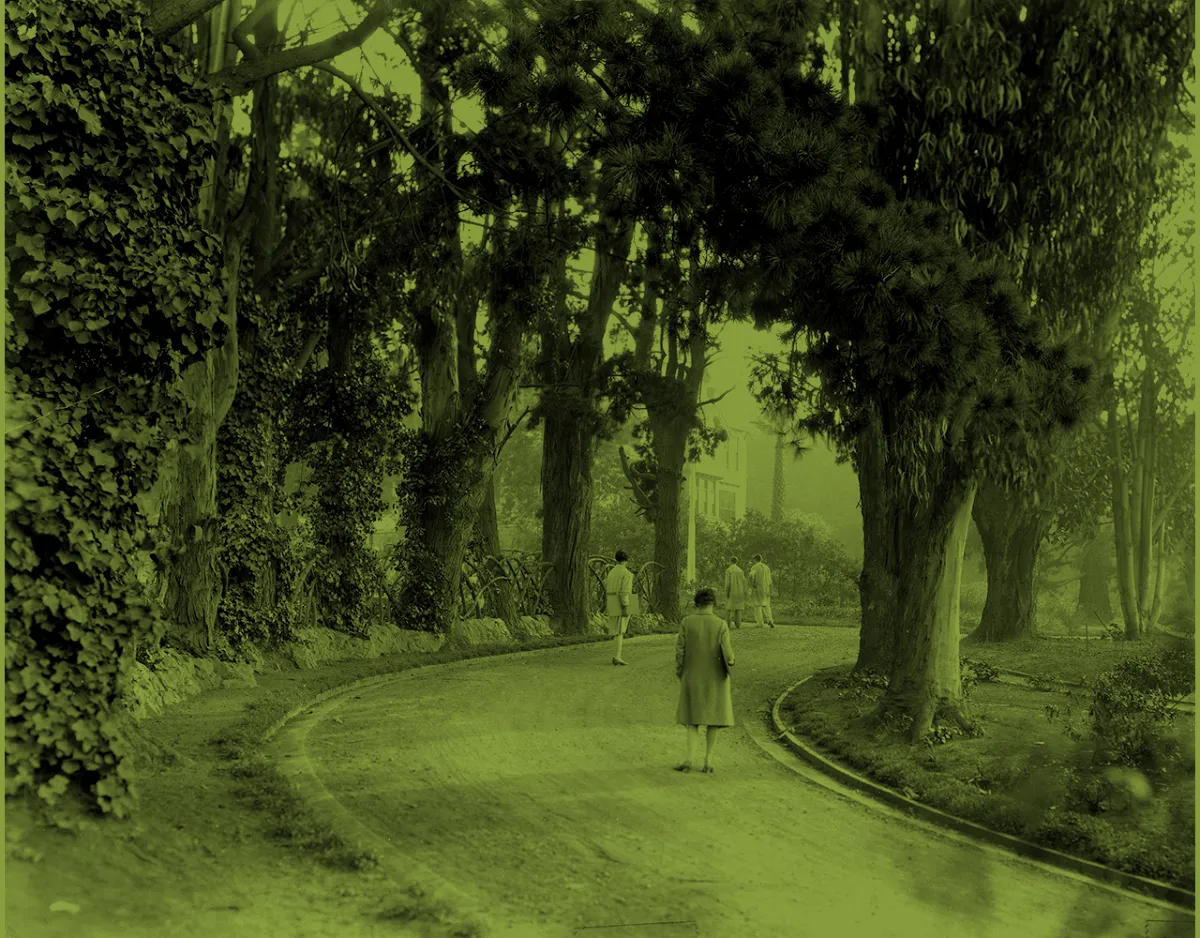The tree-lined drive of the Oakland campus.